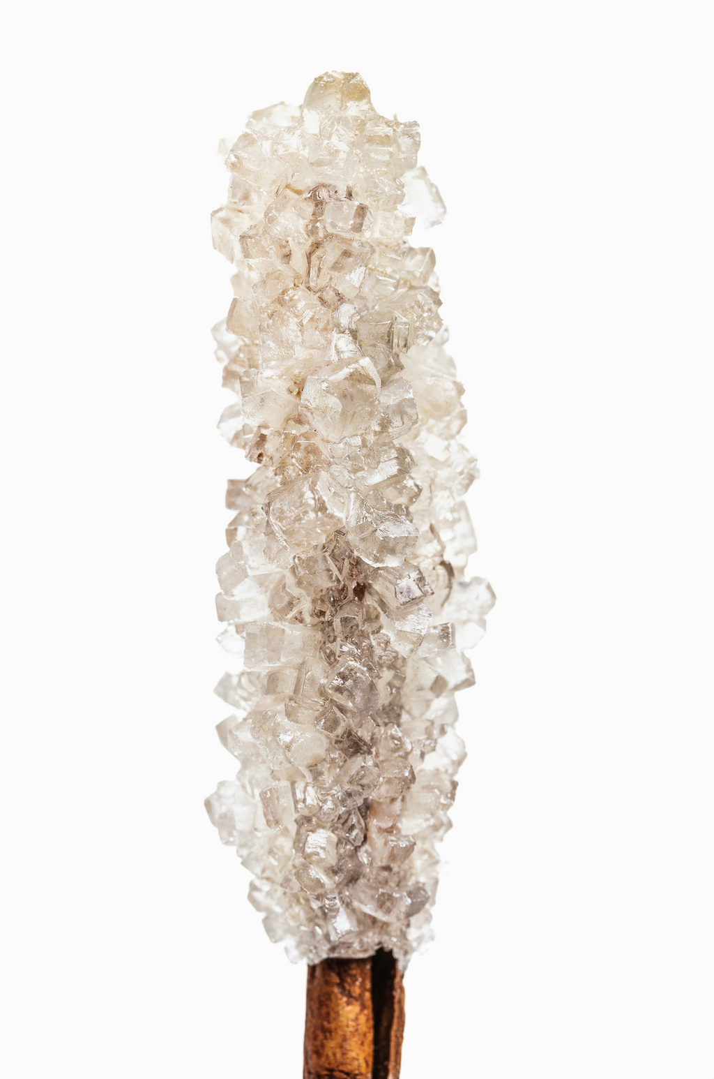 Nourishing Vanilla Sugar 32 oz Body Wash