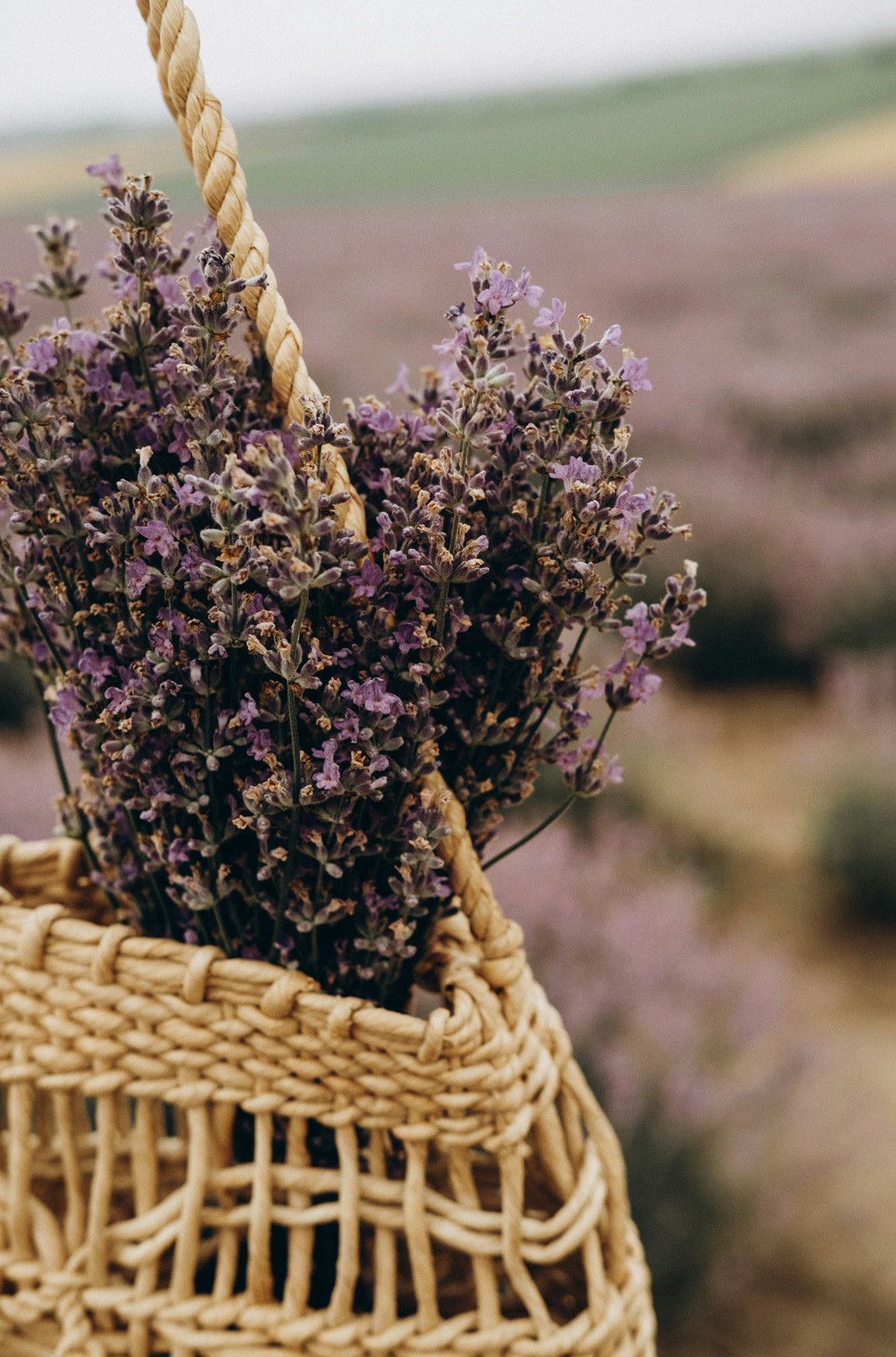 Scented Cedar & Lavender 110 ml Reed Diffuser