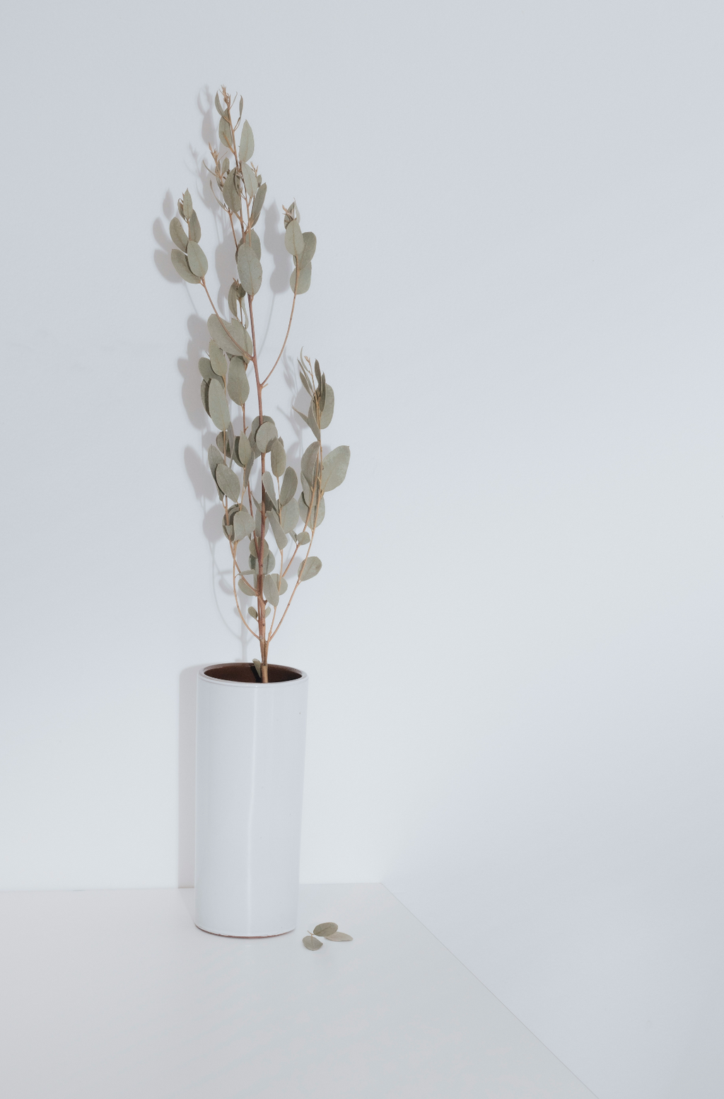 Scented Eucalyptus Spearmint 100 ml Reed Diffuser
