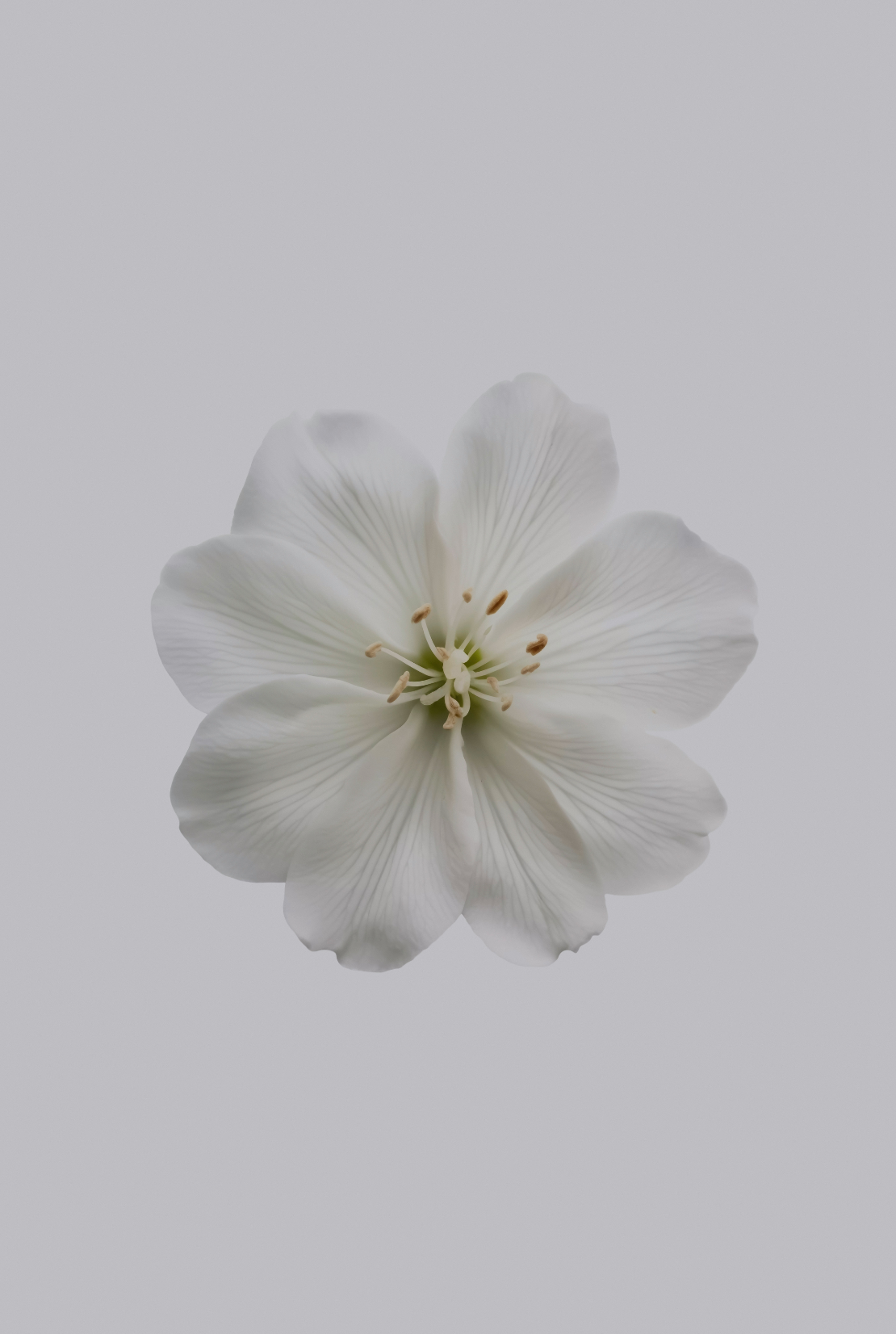 Scented Fresh Jasmine 180 ml Reed Diffuser