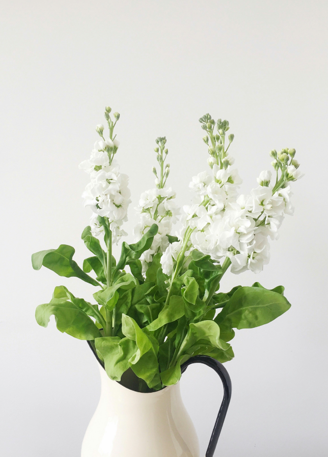 Refreshing White Flowers 15.7 oz Liquid Hand Soap