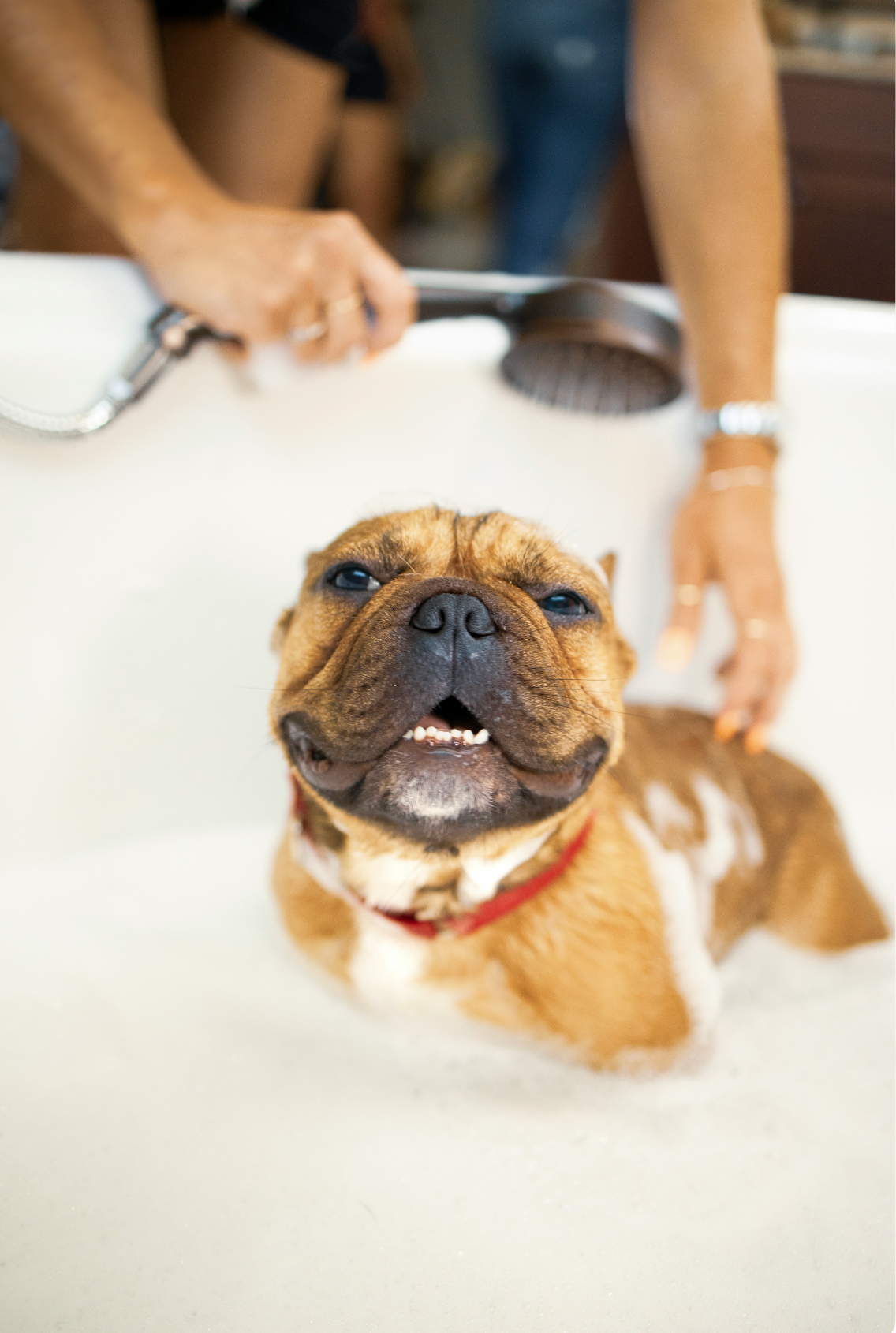 Nourishing Sand + Paws Pet Shampoo & Conditioner - Vanilla Musk